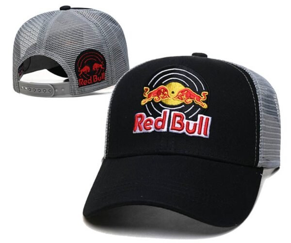 Gorra Red Bull Racing 22ZJ88 (2COLORES)