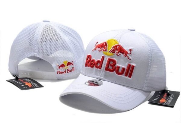 Gorra Red Bull Racing 2MK2LU (2COLORES)