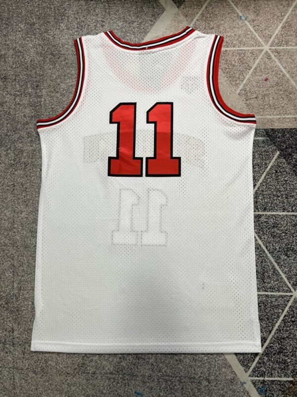 Camiseta Slam Dunk #11 G2S6XX (2COLORES) - Imagen 2